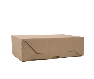 CAJA MULTIUSO DELIVERY & TAKE AWAY GRANDE 25X17X9 CM